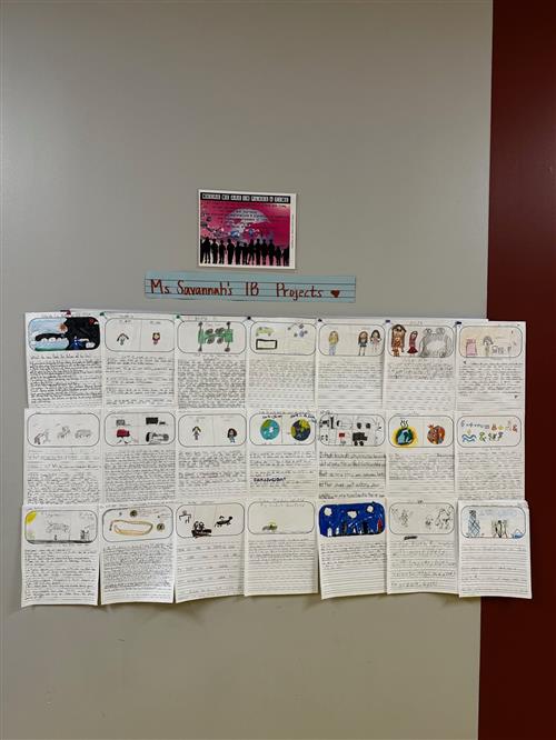 Wall Savannahs Projects 4th grade